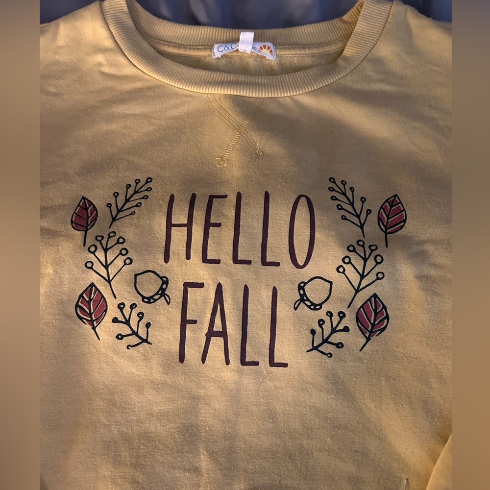 C & C California “Hello Fall” sweatshirt - Picture 3 of 3